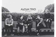 Audun trio Elegy vinyl lp