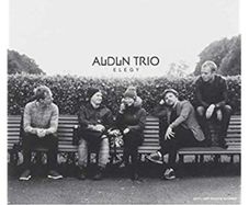 Audun trio Elegy vinyl lp