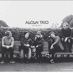 Audun trio Elegy vinyl lp
