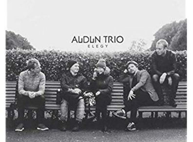 Audun trio Elegy vinyl lp