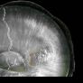 Hand Carved Mother of Pearl Shell - Human Skull Image 8