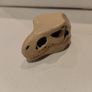 Lego Jurassic World T Rex Skull Part from 76940 Image 3