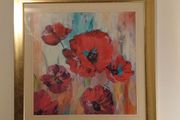 Red Poppy picture