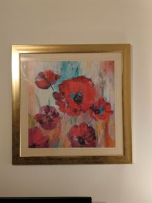 Red Poppy picture