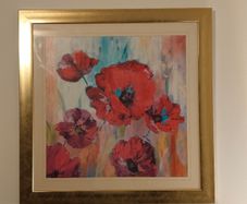 Red Poppy picture