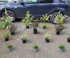 super garden bundle