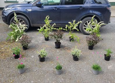 super garden bundle