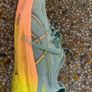 Asics Kayano Image 6