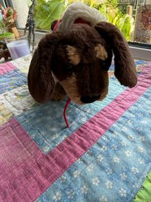 jellycat