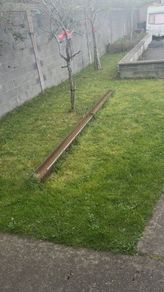 12 ft rsj