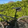 Vitus 29r Hardtail Image 2