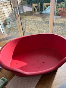 small dog bed