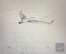Opterra 2m Rc Plane