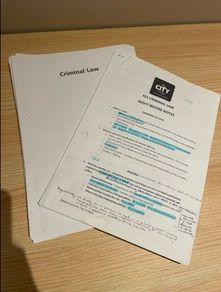 Fe1 criminal law manual and notes