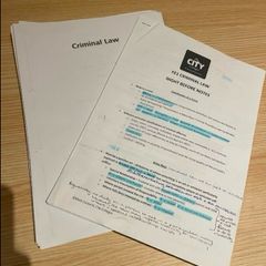 Fe1 criminal law manual and notes