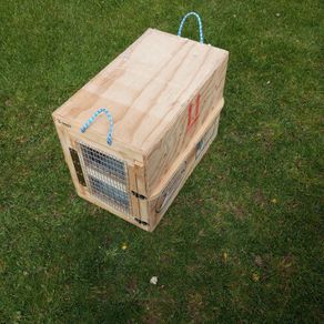 pet carrier