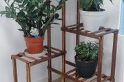 Plant Corner Stand 6 Tier Wood Shelf Indoor Outdoor Garden Patio Displaying Shelves Rack for Flowers Succulents Planter Pots