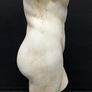 Sculpture  torso greco marble dust and scagliola Image 2