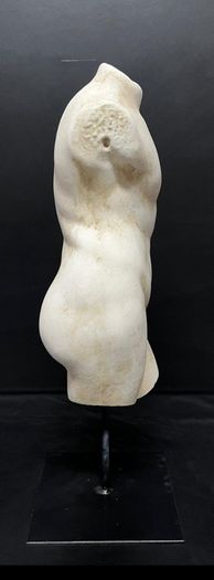 Sculpture  torso greco marble dust and scagliola