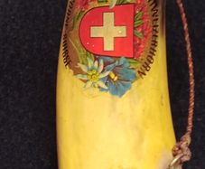 Vintage Cow Horn  1950s
