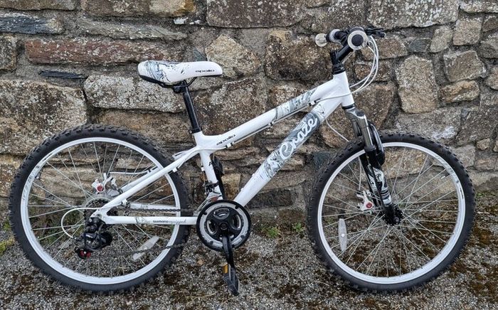 Apollo Evade Mountain Bike - 24in Wheels