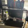 fluval fish tank and plenty of accessories Image 6