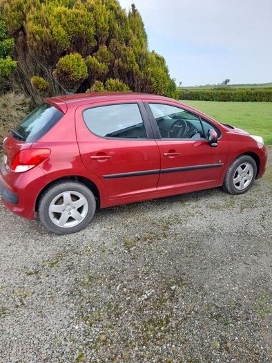 2010 Peugeot 207