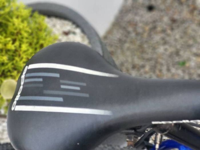 Guys Bentini Bike..