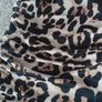 ax Paris leopard print dress Image 5