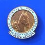 Northern Counties Pony Association (equestrian clubs) - Founder Member membership badge (later 1960's). A scarce badge! Image 2