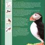 2002-3 Ireland Birds of Ireland Stamp Presentation Pack. Includes all definitive stamps of the Euro Definitive set including 36c wren (only available in booklet) Image 5