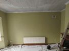 Painter Image 9