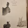 A Hare About The House. By Cecil S. Webb. First Edition. 1955 Hardback In Fair Condition. See Photos For Same. Image 9
