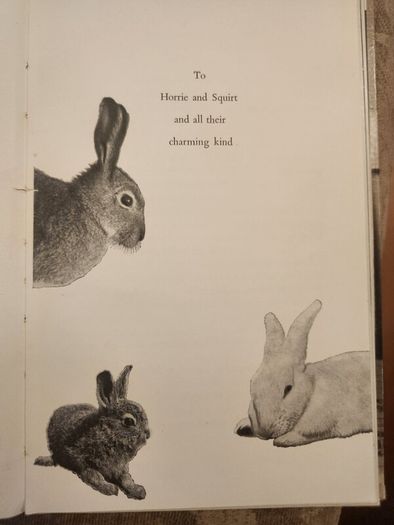 A Hare About The House. By Cecil S. Webb. First Edition. 1955 Hardback In Fair Condition. See Photos For Same.