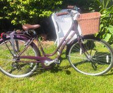 Ladies Bicycle