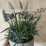 Artificial Lavender Plant Image 3