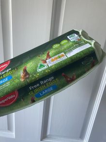 egg cartons