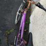 Bicycle Image 6