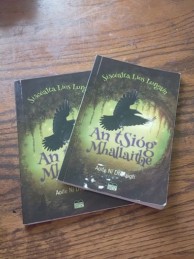 Kids Irish books individually priced