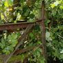cast iron flatbar gate Image 5
