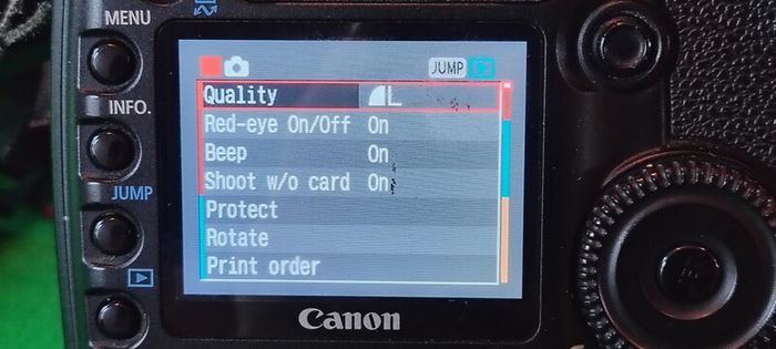 Canon EOS 30D digital SLR camera 70-300 zoom lens
