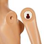 New Home or Business Female Mannequin - FREE Delivery Image 5