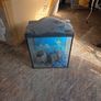 fish tank Image 4