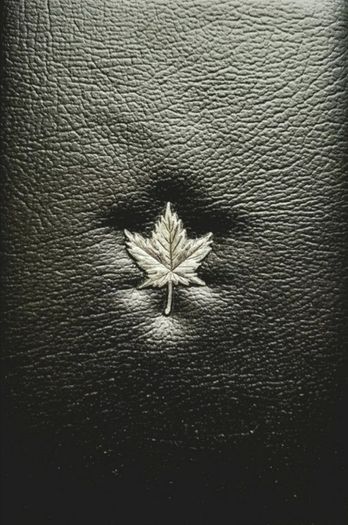 Silver Dollar 1994 Canadian Proof Coin Set