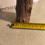 handmade iguana on natural wood log Image 7