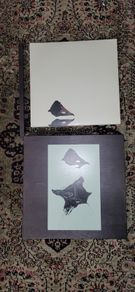 Coil - The Ape Of Naples (3xLP, Ltd, Num, RE, Ape + Box, Dlx, Ltd, Num, wooden box