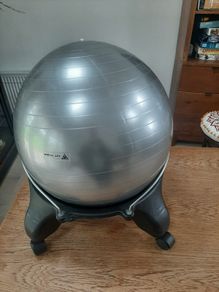 Office Yoga Ball Chair