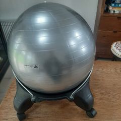 Office Yoga Ball Chair