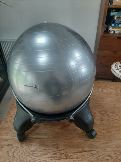 Office Yoga Ball Chair