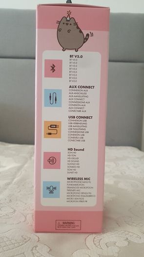 Karaoke microphones with wireless speaker